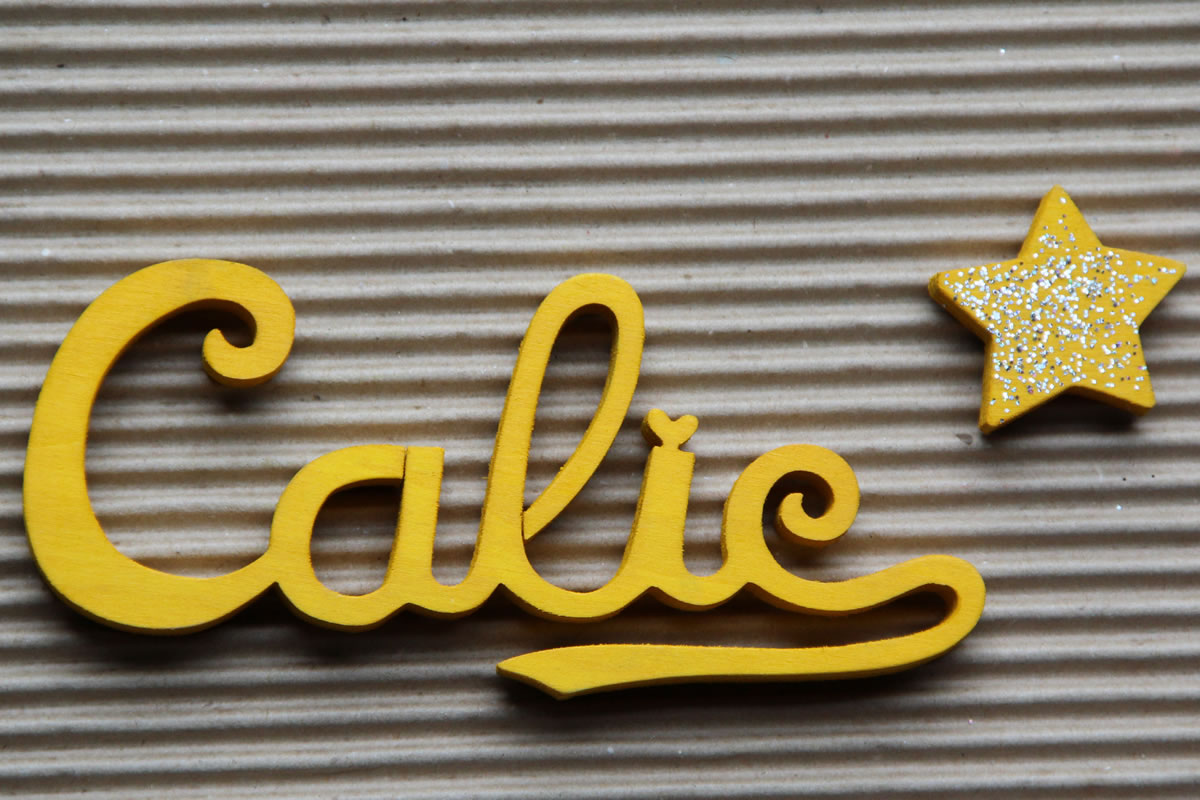 Calie Jaune - L: 17cm - H: 8cm
