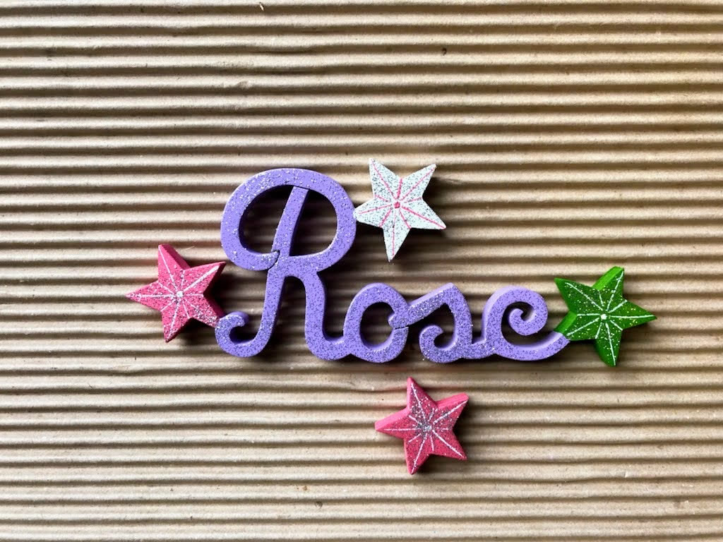 Rose Parme uni - L:21cm - H:9cm